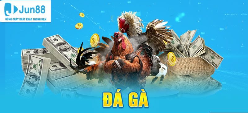Đá gà và Esports độc đáo